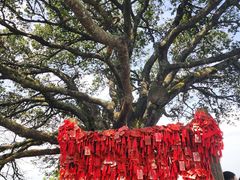 -武当山风景区