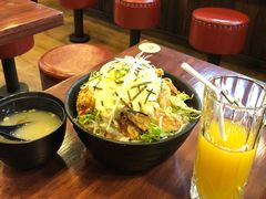 -能量盖饭