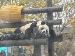 -大连森林动物园