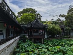 -上海醉白池公园