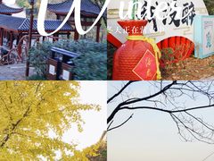 -岳麓山风景名胜区