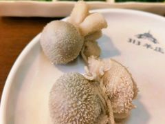 -313羊庄鲜羊火锅·鲜羊肉烧烤(李村店)