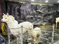 -上海大自然野生昆虫馆(东方明珠·爬宠昆虫探索中心)