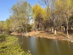 -长白岛森林公园