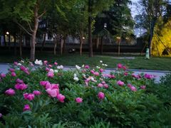 -木塔寺遗址生态公园