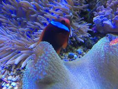 -左海海底世界