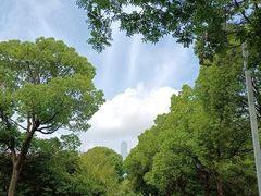 -白塘生态植物园