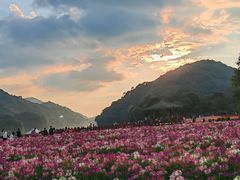 -广州市石门国家森林公园