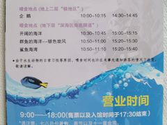 -上海海洋水族馆