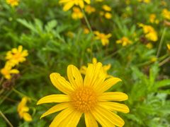 -重庆中央公园(渝北区)