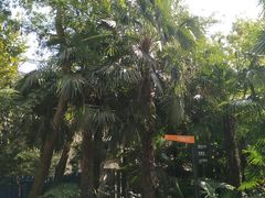 -兰溪青年公园