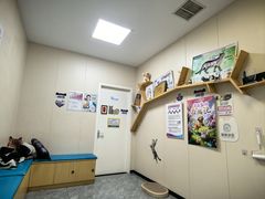 -美联众合爱康动物医院•复杂内科•肿瘤科•牙科•腔镜诊疗中心