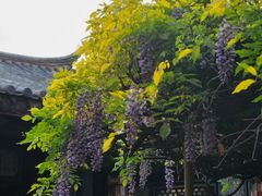 -朱家花园