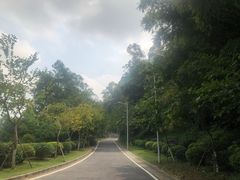 -火炉山森林公园