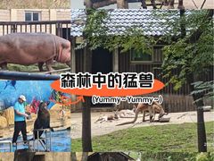 -合肥野生动物园