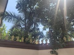-西双版纳总佛寺