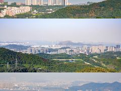 -黄山鲁森林公园