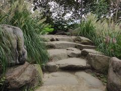 -桂湖森林公园