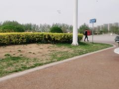 -丁香湖公园