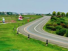 -空港花田景区