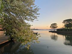 -东钱湖小普陀景区
