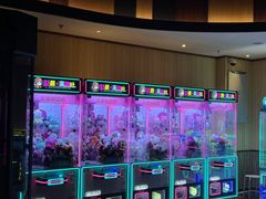 -欧亚汇集(飞跃路店)