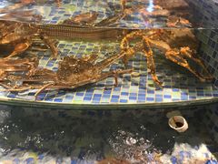 -禄海渔港(九堡店)