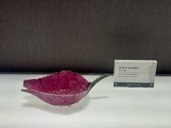 -景德镇中国陶瓷博物馆