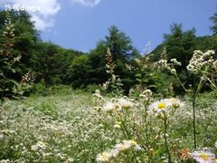 -安吉龙王山风景区