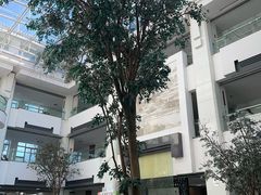 -苏州图书馆(人民路总馆)