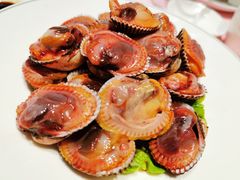 血蚶-高佳庄·舟山海鲜(海景旗舰店)