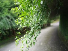-中铁花水湾温泉酒店(大邑店)