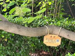 -北京希尔顿逸林酒店