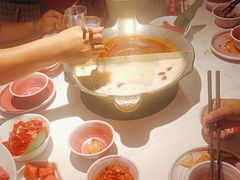-九鼎轩脆毛肚火锅(三钢里店)