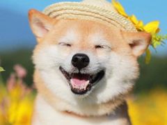 -必胜客(张掖西大街店)