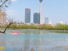 -天津水上公园