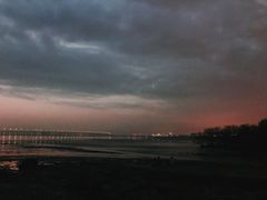 -宝安西湾红树林湿地公园