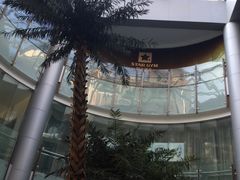 -小海豚国际游泳培训中心(浦东塘桥店)