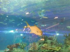 -常州海昌海洋探索馆