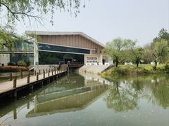 -鄱阳湖国家湿地公园