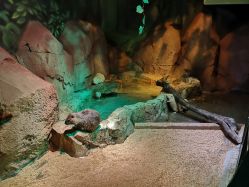 -酷嗒动物文化乐园(cutezoo西溪乐天城店)