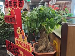 -洞庭家宴·头牌甲鱼(广渠门店)