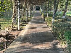 -大屏嶂森林公园