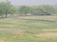 -南海子公园