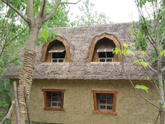 -合肥滨湖国家森林公园