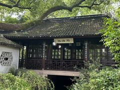-上海醉白池公园