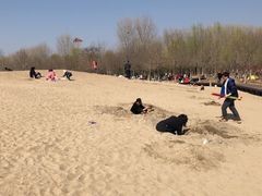 -东郊湿地公园
