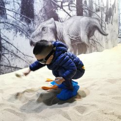 点击看大图 -恐龙探索乐园(磁器口店)