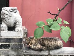 -长春观