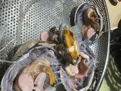 -渔乐里(智荟城店)